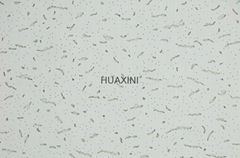 Acoustic mineral fiber ceiling boards/ceiling suspension decoration