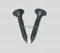 Self tapping screw