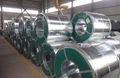 Galvanized steel coils/sheets lower price