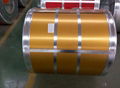 Prepainted galvanized steel in coil supplier