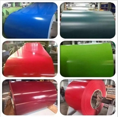 Prepainted galvanized steel in coil