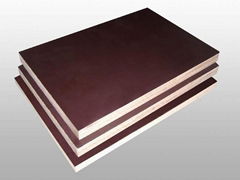 Black/brown film construction plywood