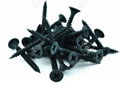 Black phosphated screws