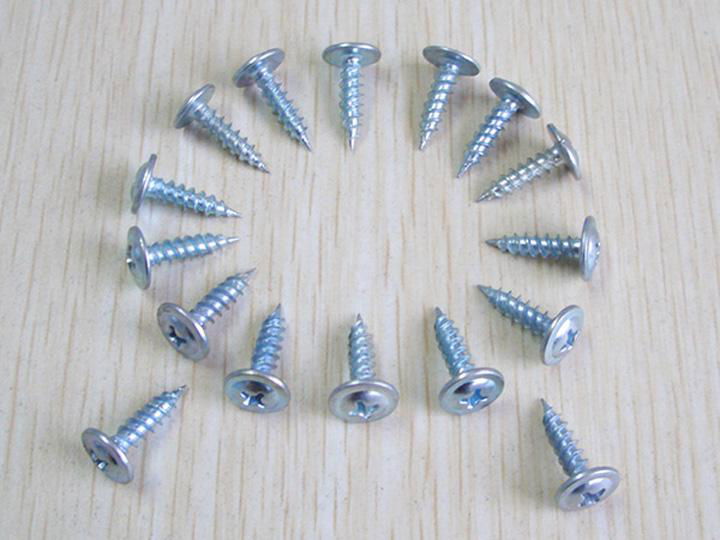 Whtie galvanized screws