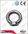 Rigging hardware galvanized din582 eye nut 2