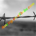 Traditional Twisted Barbed Wire