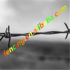 Traditional Twisted Barbed Wire 