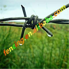 High Quality Green PVC Coat 16 Gauge Barbed Wire   