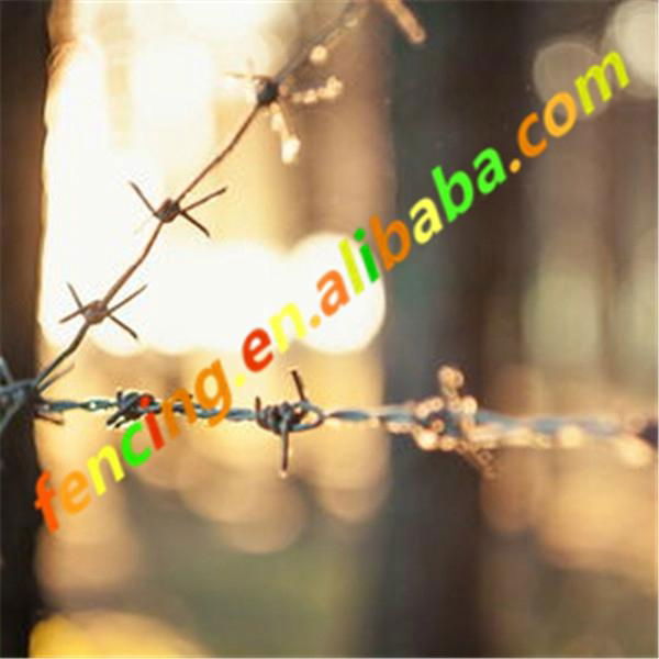 Pvc coated/galvanized barbed wire price   