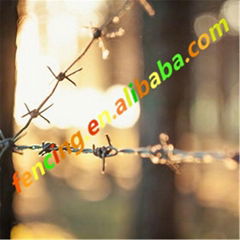 Pvc coated/galvanized barbed wire price   