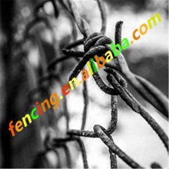 Galvanized chain link fence top barbed