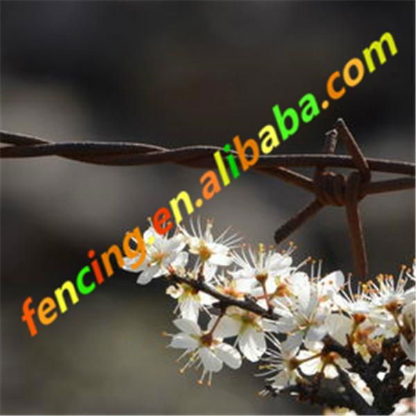 Cheap pvc coated barbed wire philippines 