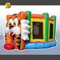 Inflatable Bouncers 3