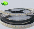 2835 led strip  20-22lm/led DC12V china factory