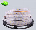 5050 led strip 60leds/m DC12V IP67 with silicon tube