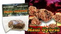 Sinicuichi Legal Herbal Smoke 2