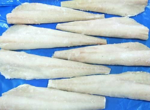 Frozen Alaska Pollock fillet 