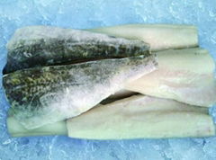 frozen haddock fillet