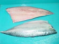 frozen mackerel fillet 1