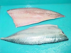 frozen mackerel fillet