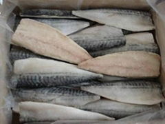 Frozen Spanish Mackerel Fillet