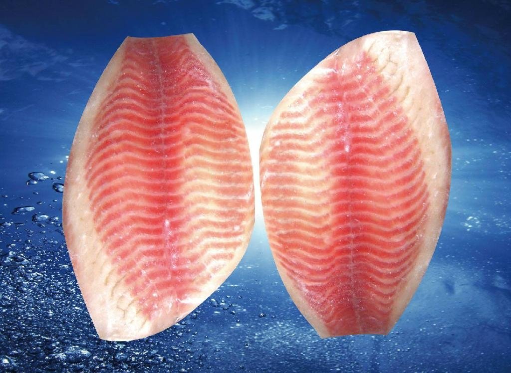  frozen redfish fillet  1