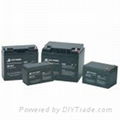 6V & 12V AGM Battery NP