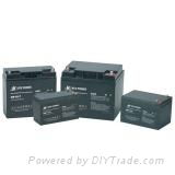 6V & 12V AGM Battery NP