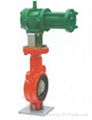 Pneumatic Actuator