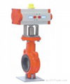 Pneumatic Actuator