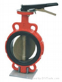 Butterfly Valve 1