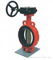 Butterfly Valve