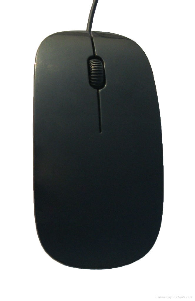 computer mouse