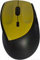 computer mouse