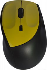 computer mouse