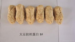sell textured soy protein concentrate
