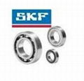 SKF bearing