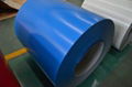 good price ppgi prepainted steel coil 4