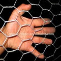 anping hexagonal mesh