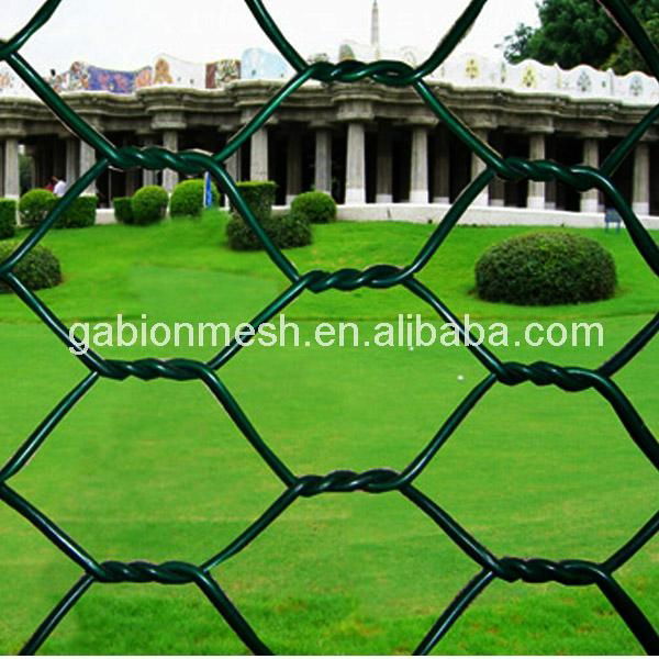 anping hexagonal mesh 3