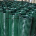 galvanized welded wire mesh