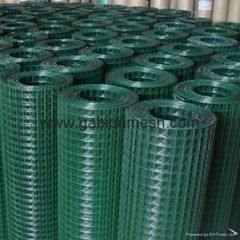 galvanized welded wire mesh