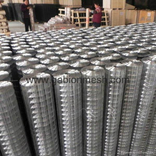 galvanized welded wire mesh 2