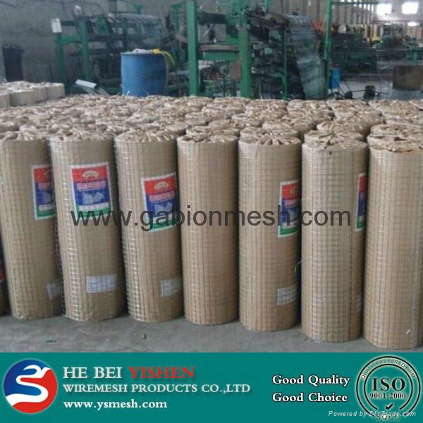 galvanized welded wire mesh 3