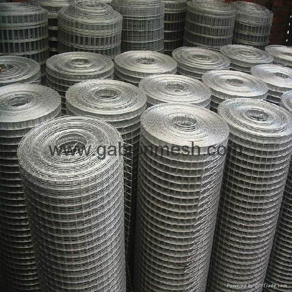 galvanized welded wire mesh 5