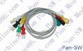 Spacelabs five lead ECG leadwire