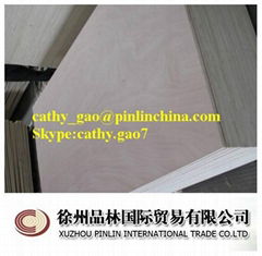 Best price commercial plywood for furniture and decoration
