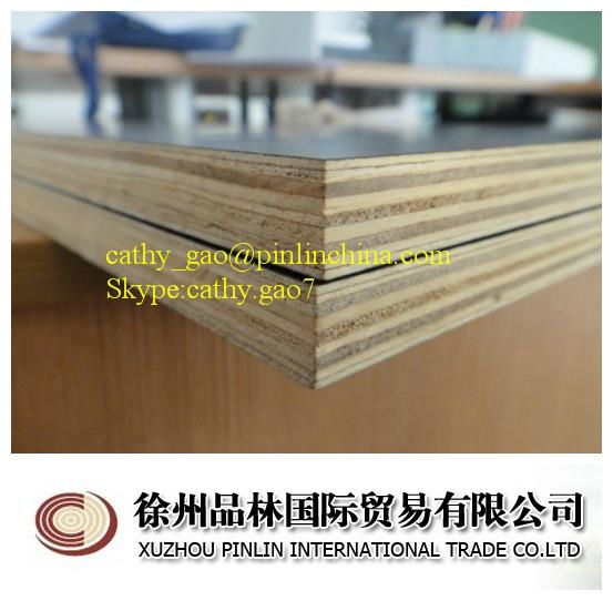 Film faced plywood shuttering plywood 4