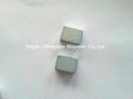 Permanent magnetic chuck magnets  3