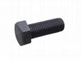 Hex Bolt